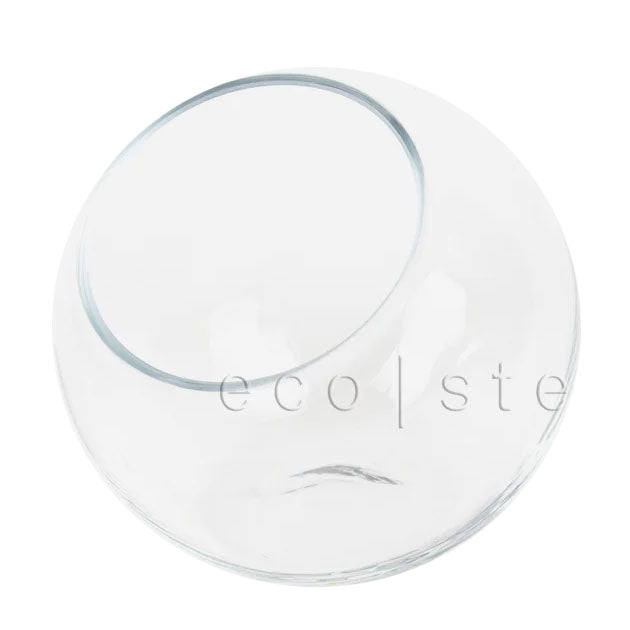 Studio Terrarium Glass Vase Toronto Ontario Delivery
