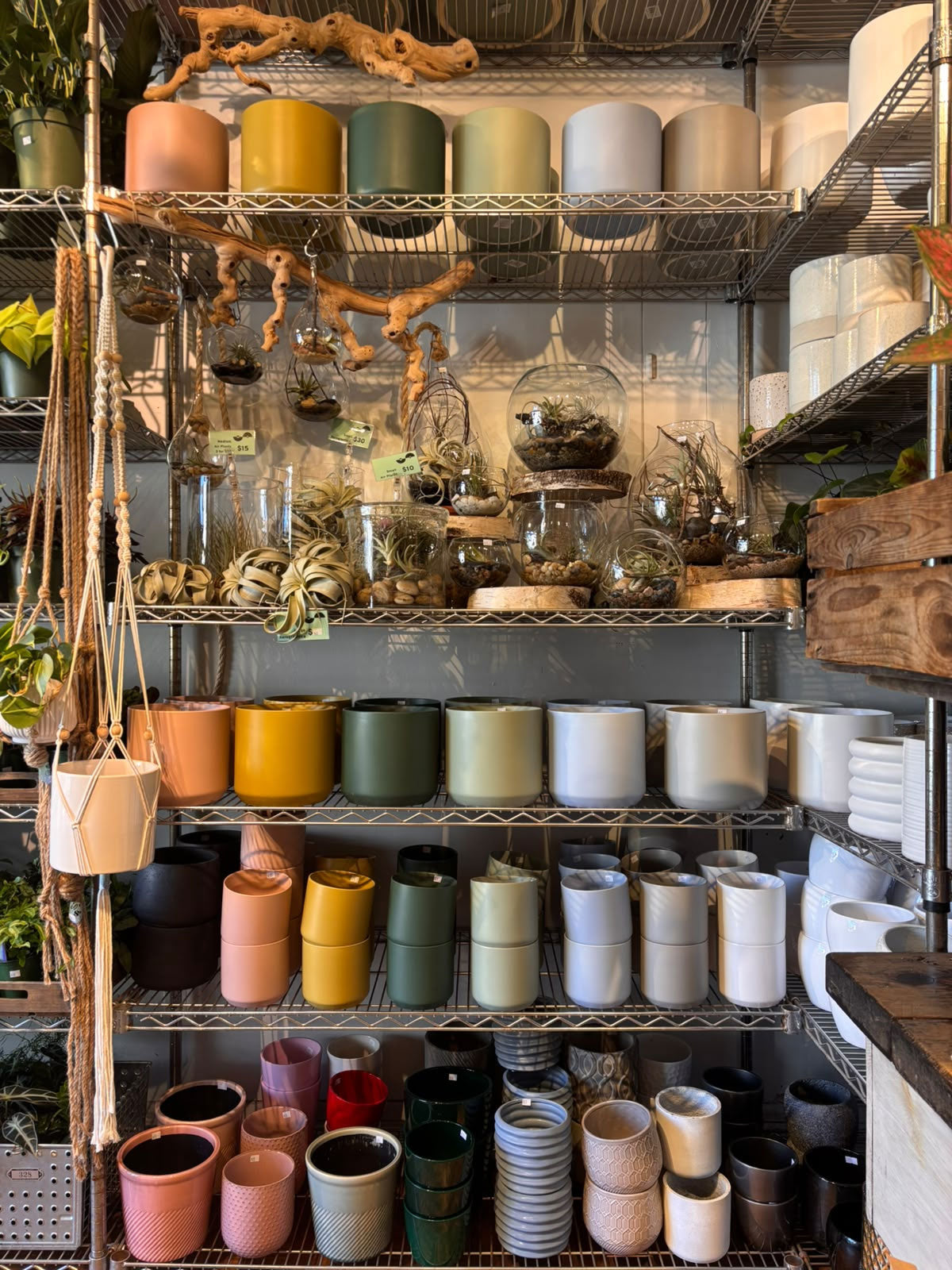 Pots de plantes décoratifs