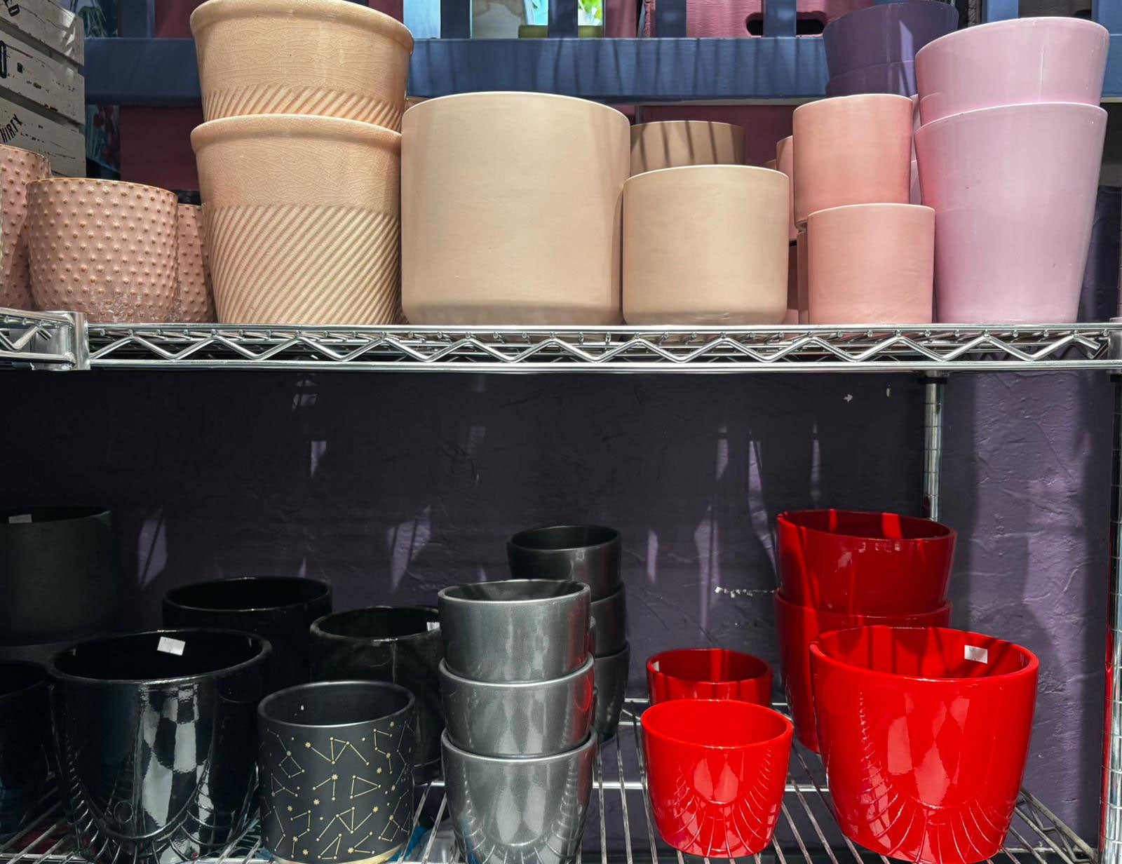 Pots de plantes décoratifs