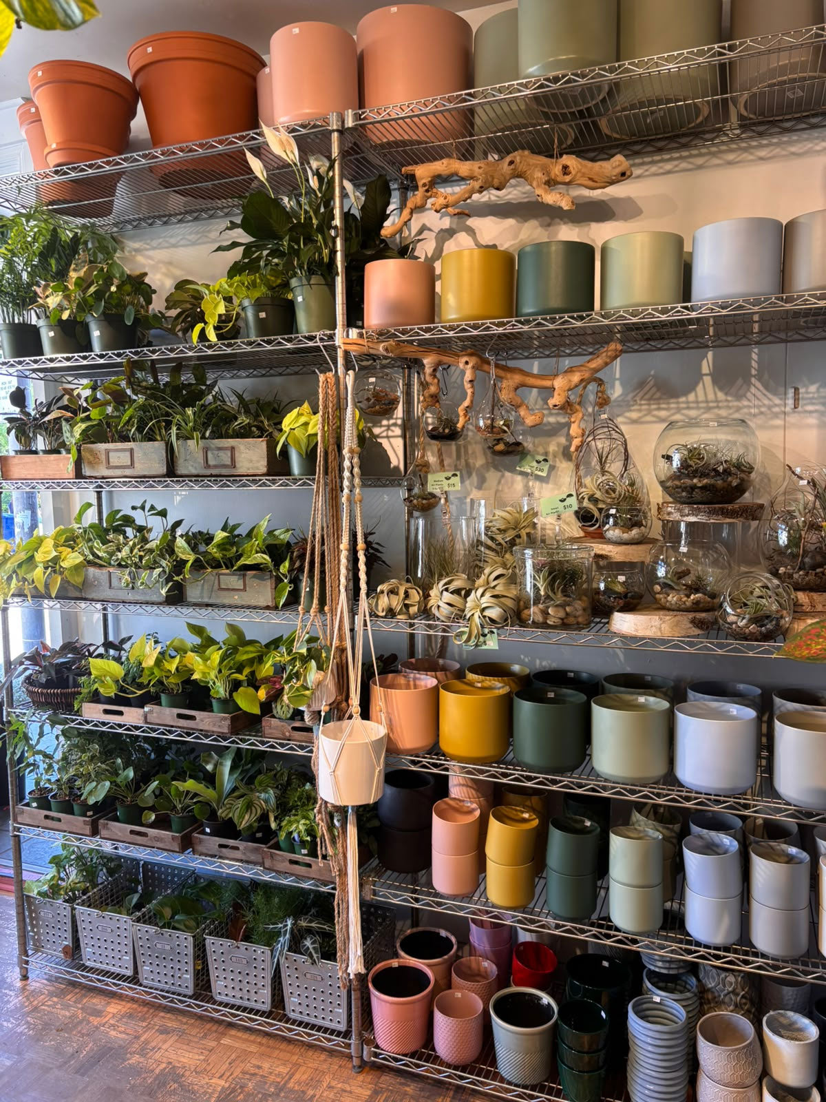 Pots de plantes décoratifs