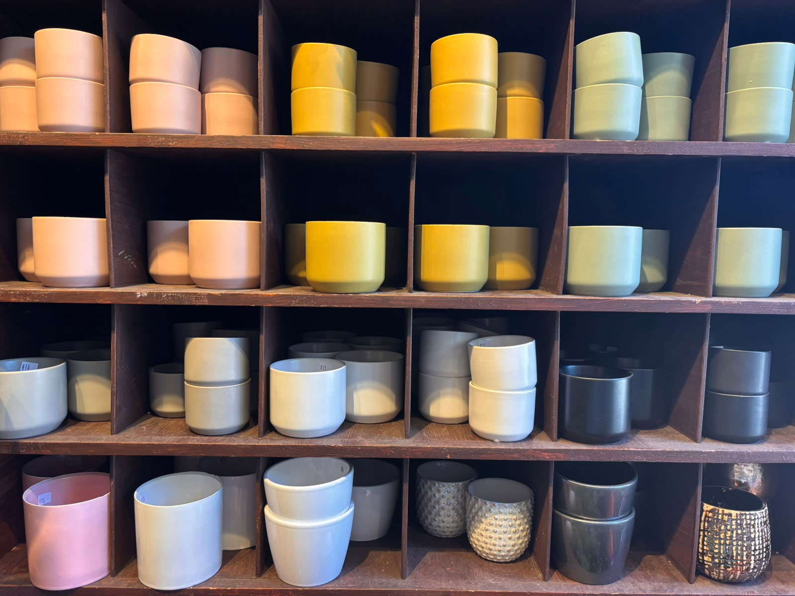 Pots de plantes décoratifs
