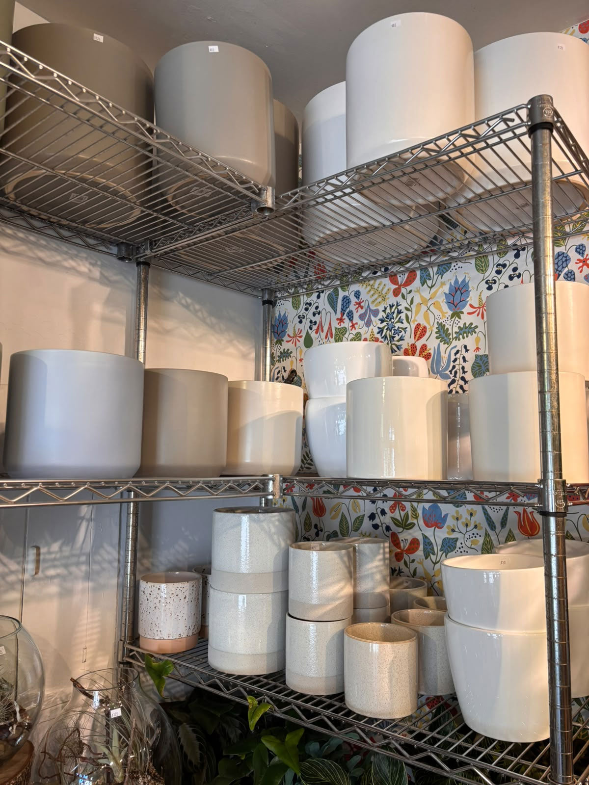 Pots de plantes décoratifs