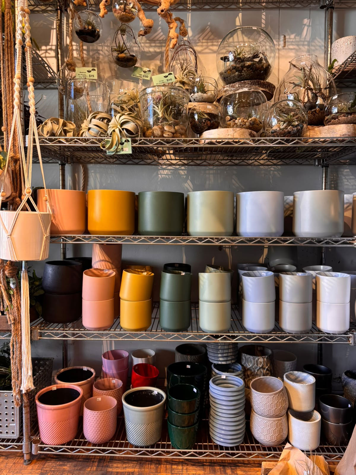 Pots de plantes décoratifs