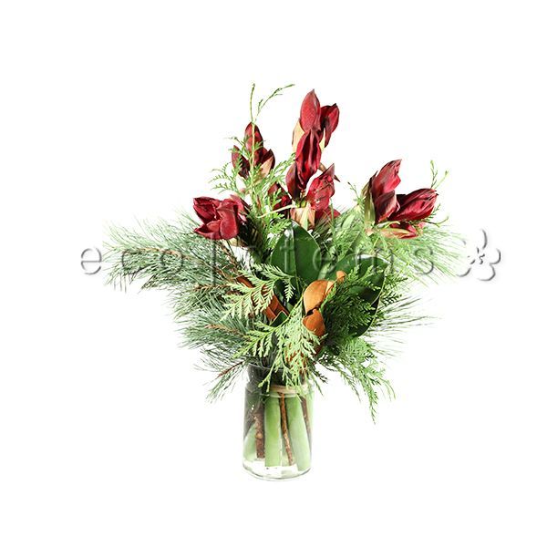 Amaryllis Fresh Flowers Arrangement Toronto Ontario Delivery