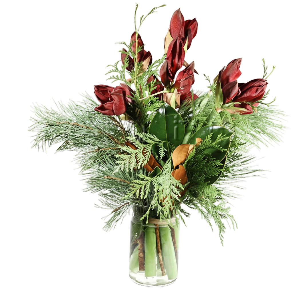 Amaryllis Fresh Flowers - Bouquets & Vase Arrangements