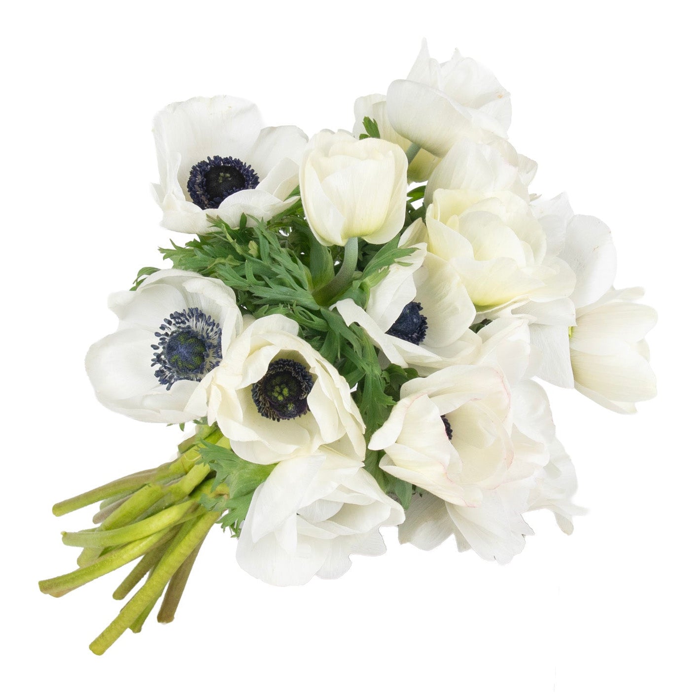 Anemones Fresh Flowers - Bouquets & Vase Arrangements