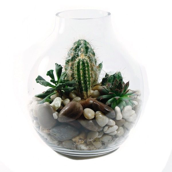 Bottle Desert Glass Terrarium Toronto Ontario Delivery