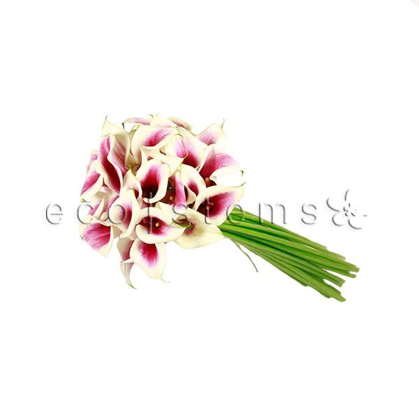 Calla Lily Fresh Flowers -Bouquets & Vase Arrangements