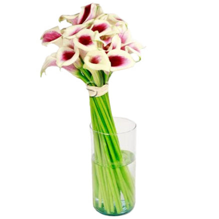 Calla Lily Fresh Flowers Arrangement Toronto