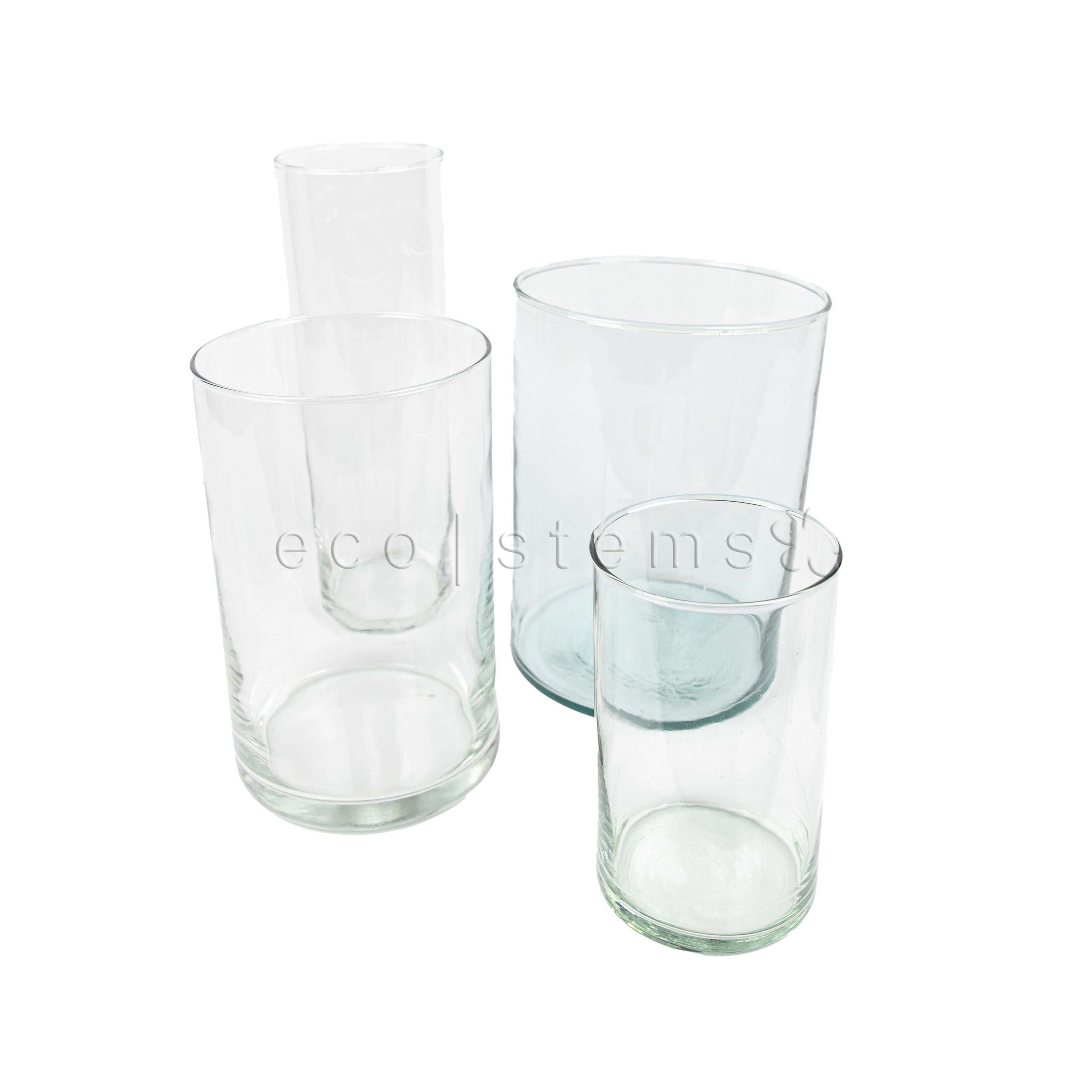 Cylinder Glass Organic Fresh Flowers Arrangement & Terrarium Vase Toronto Ontario Delivery
