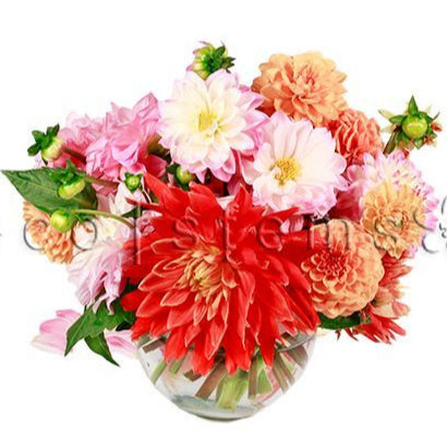 Dahlia Fresh Flowers Arrangement Toronto