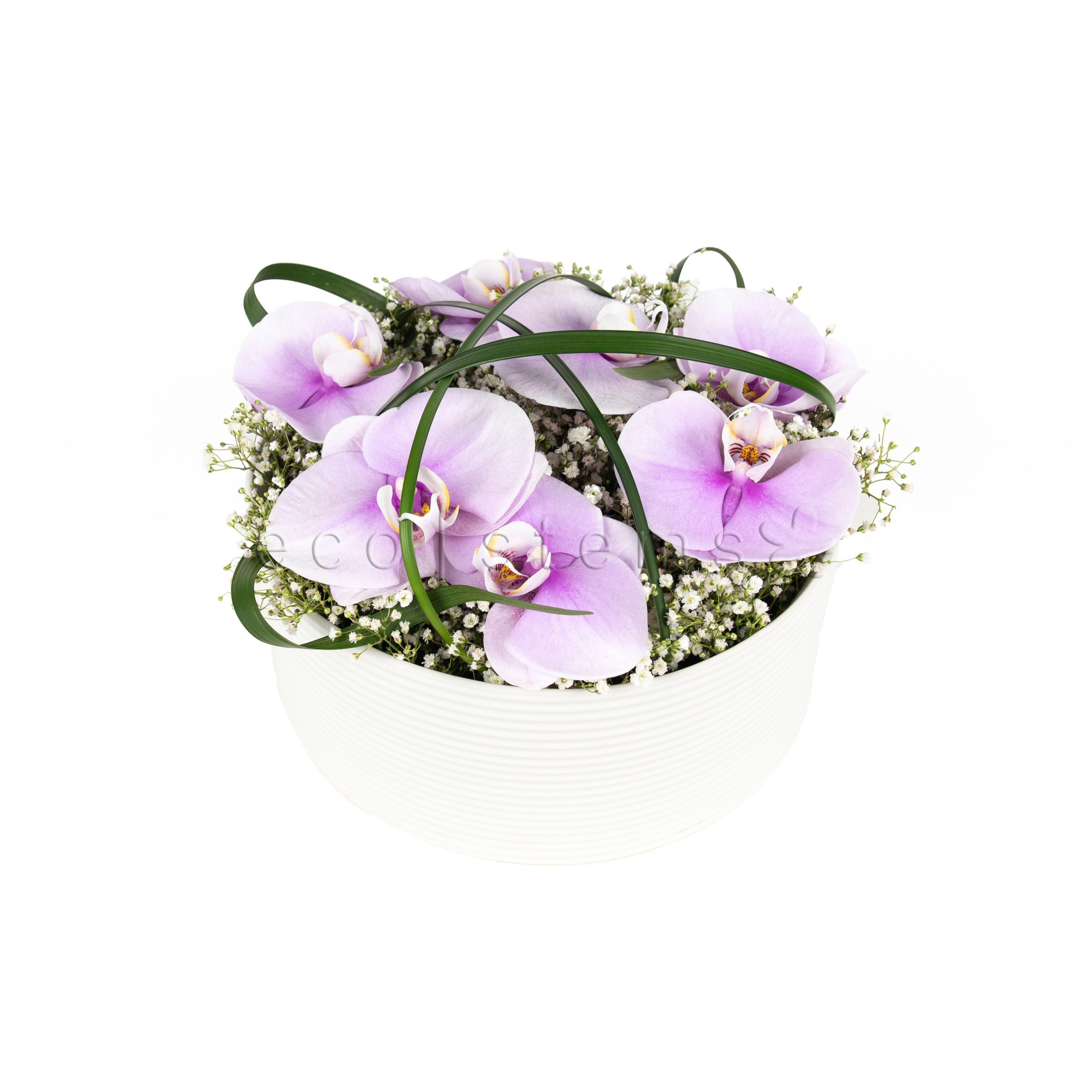 Orchid Pillow Floral Art Toronto Ontario Delivery