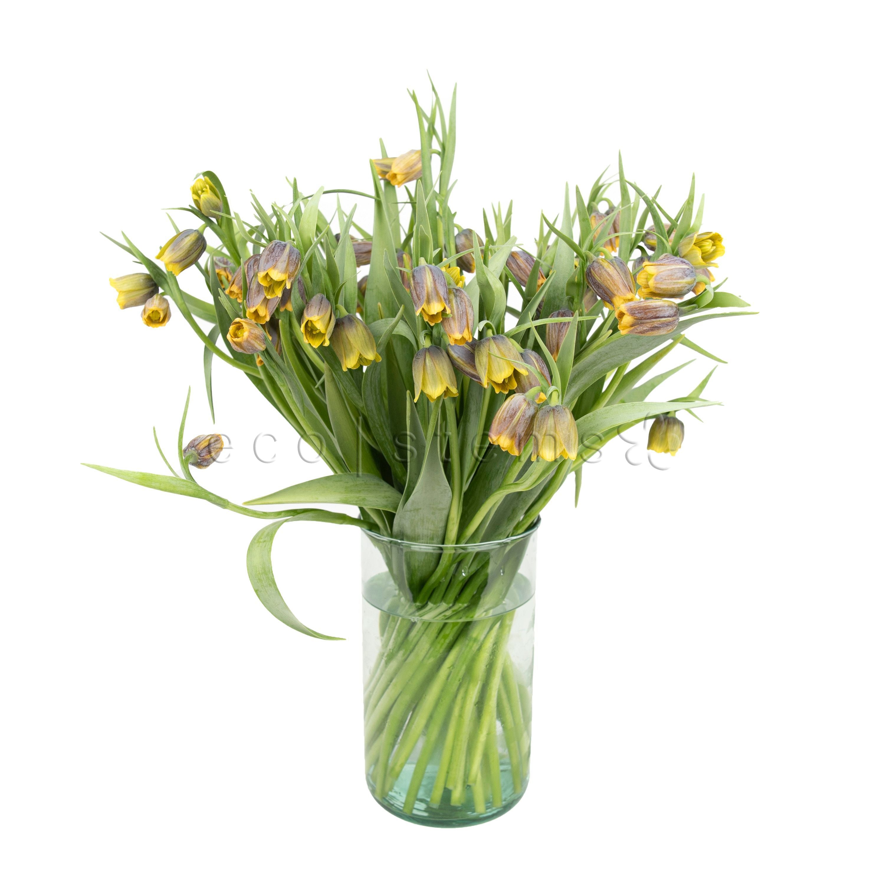 Fritillaria Fresh Flowers Arrangement Toronto Ontario Delivery