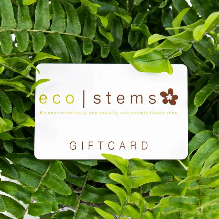 ecostems Toronto Gift Card