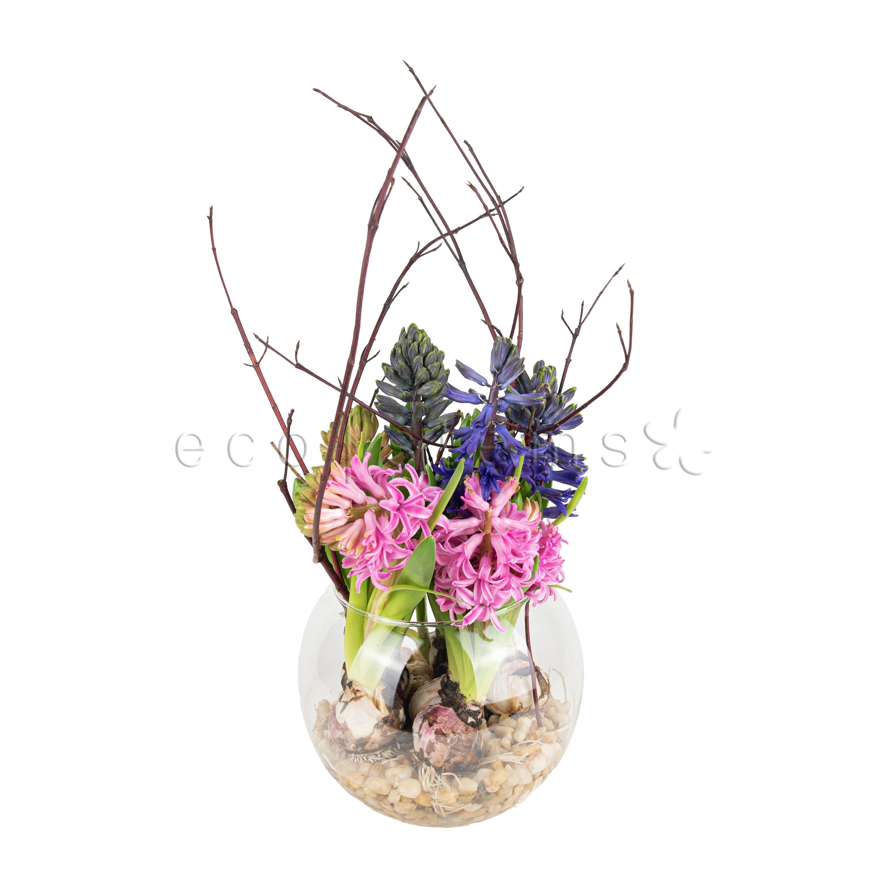 Naked Hyacinth Fishbowl Floral Art Toronto Ontario Delivery