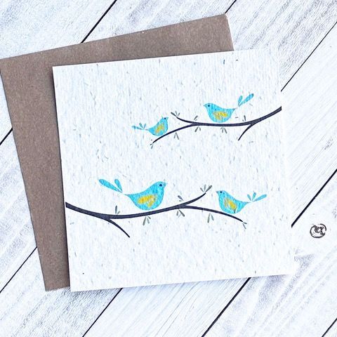 Birds on Branches Plantable Greeting Card Toronto Ontario Delivery