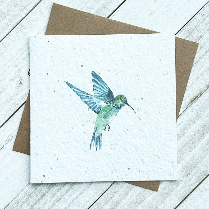 Hummingbird Plantable Greeting Card Toronto Ontario Delivery