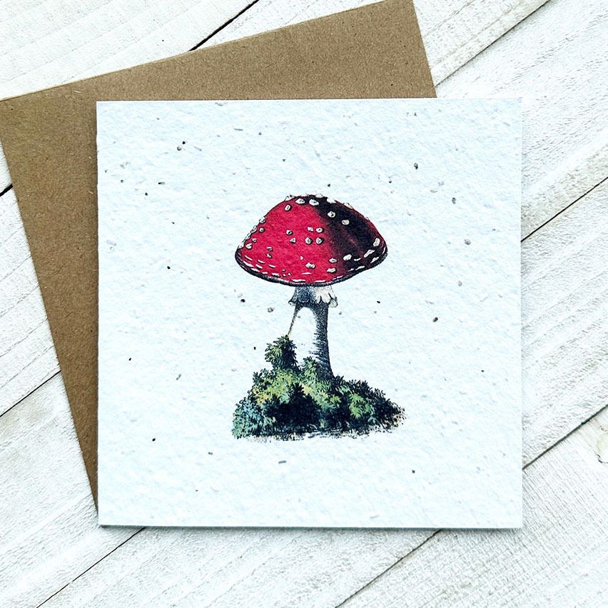 Mushroom Plantable Greeting Card Toronto Ontario Delivery