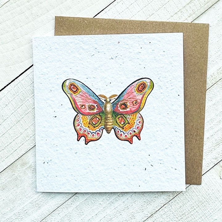Colourful Moth Plantable Greeting Card Toronto Ontario Delivery