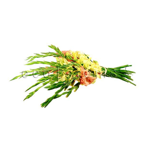 Gladiolus Fresh Flowers -Bouquets & Vase Arrangements