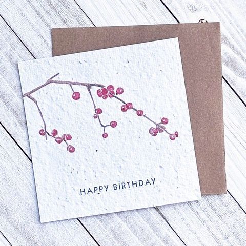 Happy Birthday Berries Plantable Greeting Card Toronto Ontario Delivery