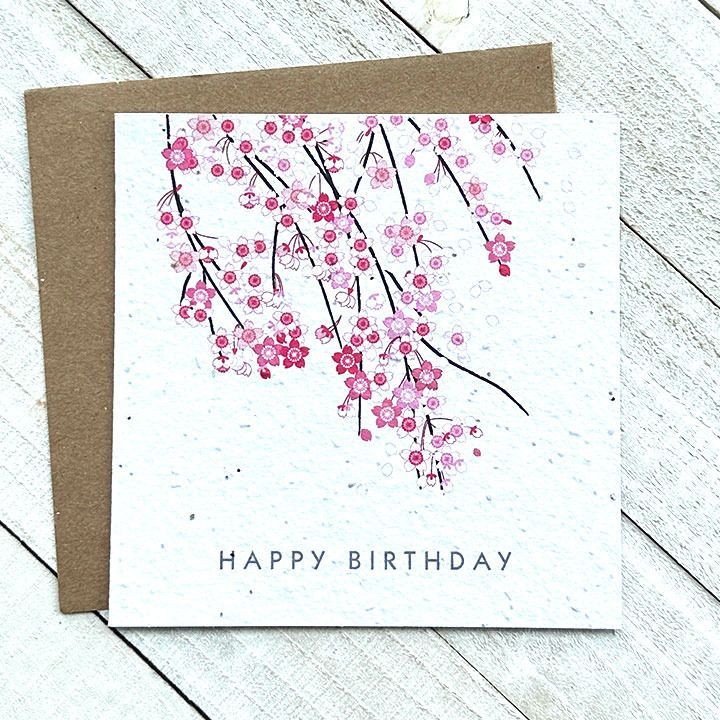 Happy Birthday Cherry Blossoms Plantable Greeting Card Toronto Ontario Delivery