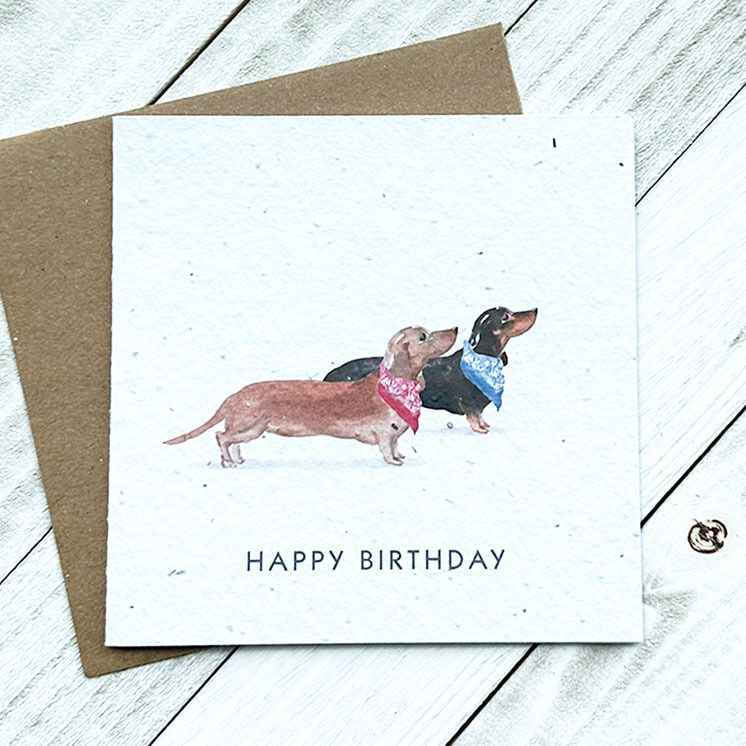 Happy Birthday Dachshunds Plantable Greeting Card Toronto Ontario Delivery
