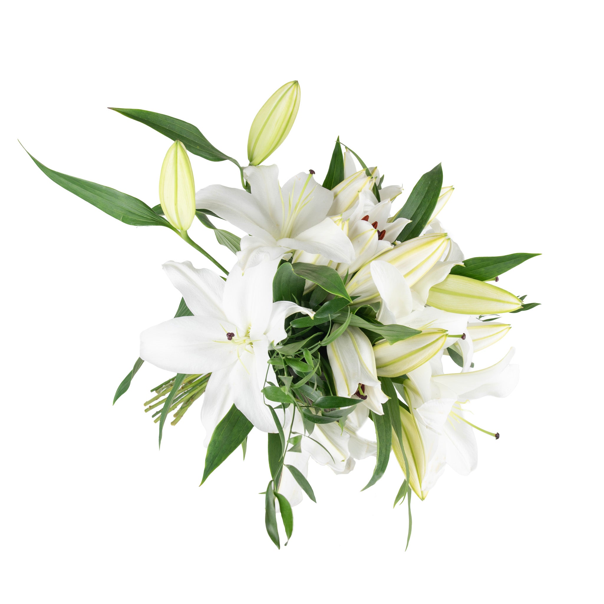 Lily Fresh Flowers - Bouquets & Vase Arrangements