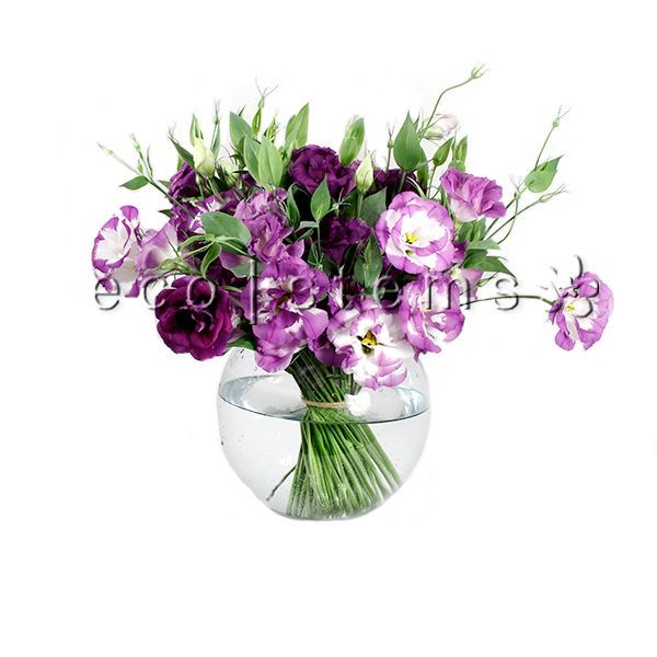 Lisianthus Fresh Flowers Arrangement Toronto Ontario Delivery