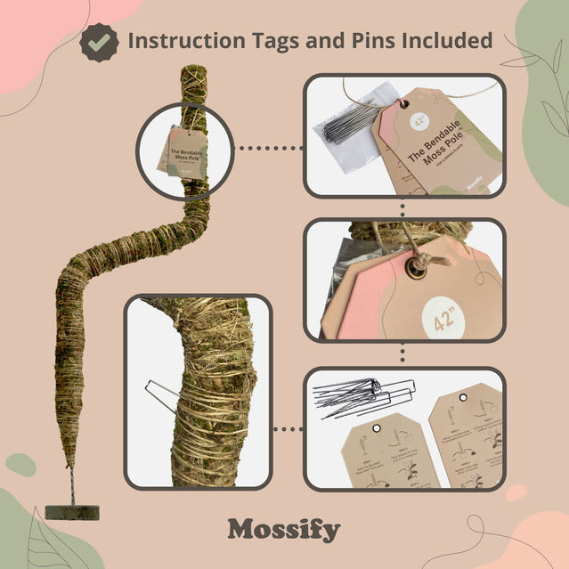 Bendable Moss Pole (Pins Included)