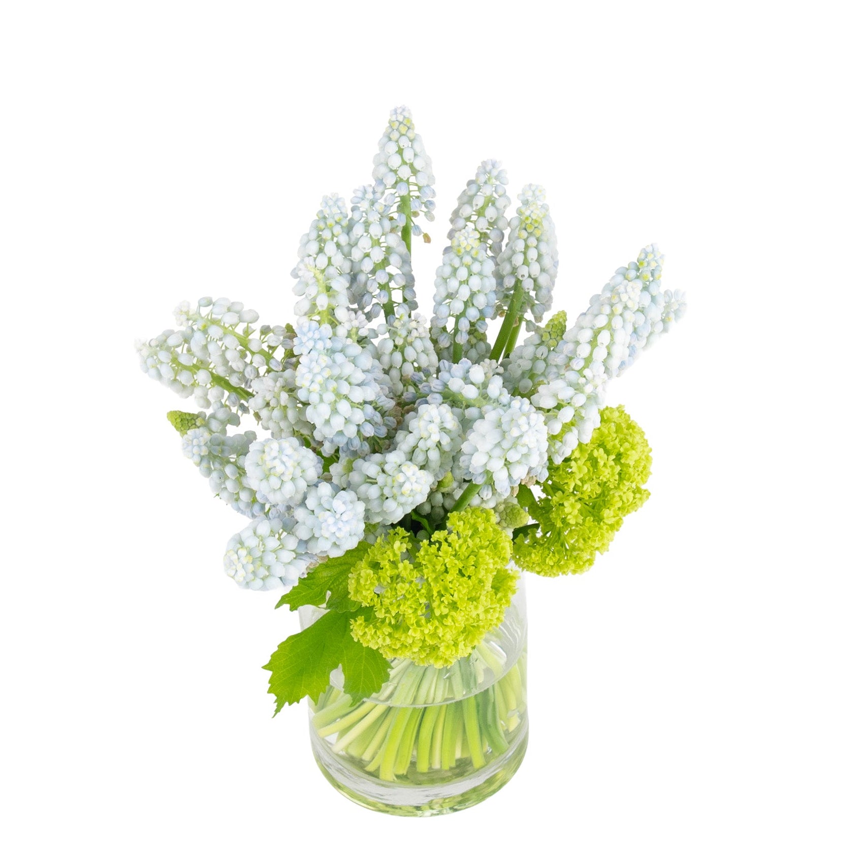 Jacinthe de raisin - Bouquets et compositions florales