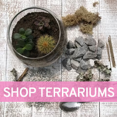 glass terrariums Toronto Ontario