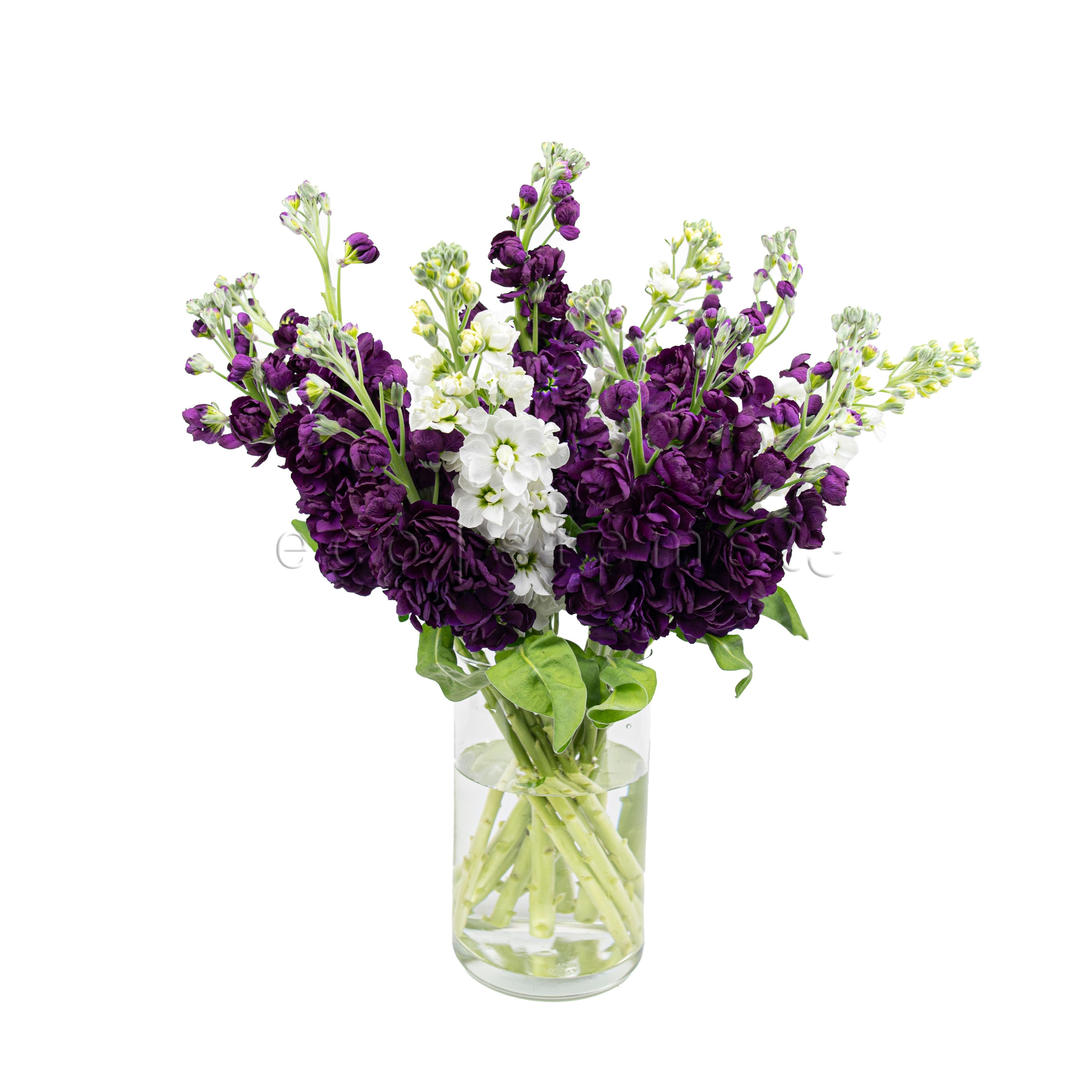 Stock Fresh Flowers Arrangement Toronto Ontario Delivery