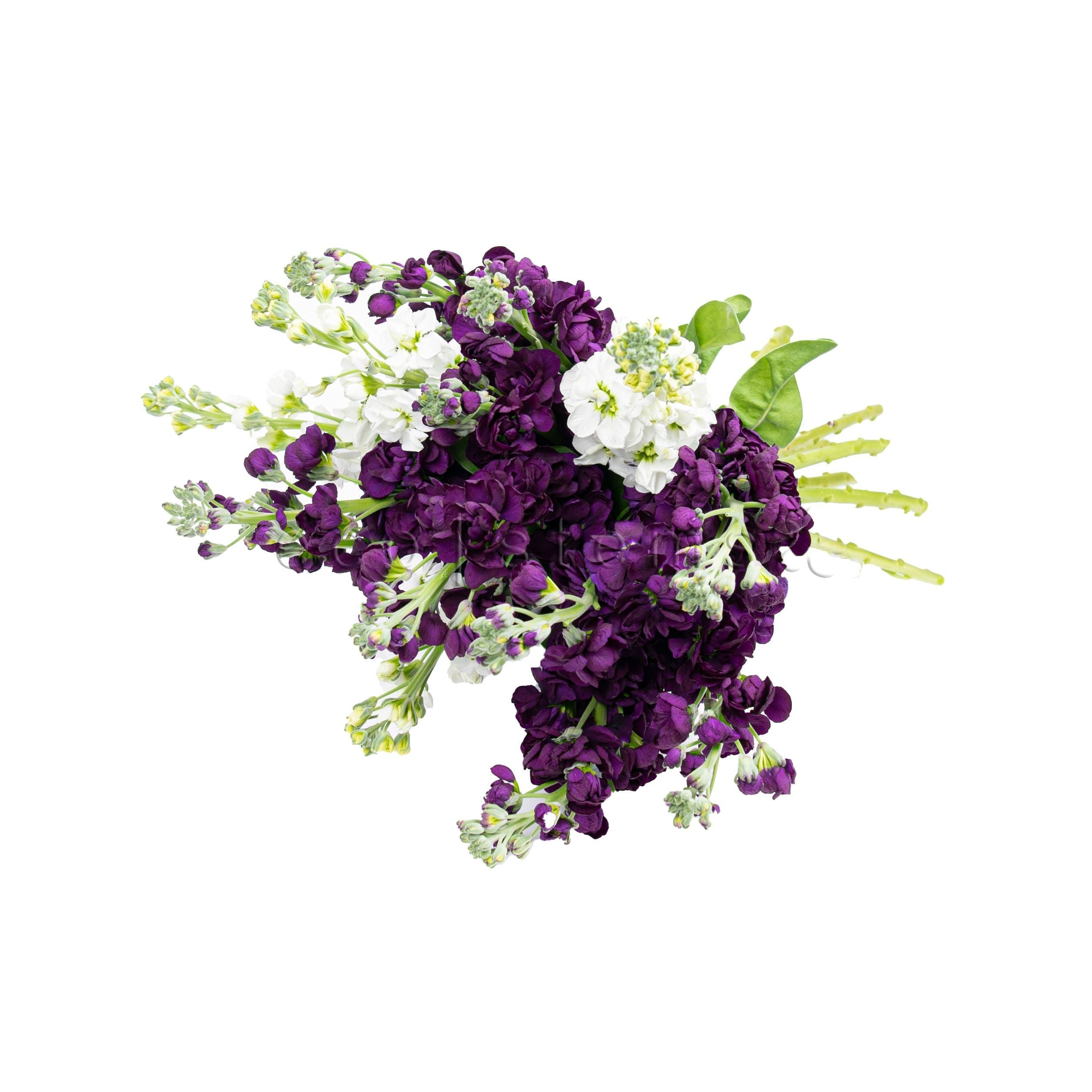 Stock Fresh Flowers -Bouquets & Vase Arrangements