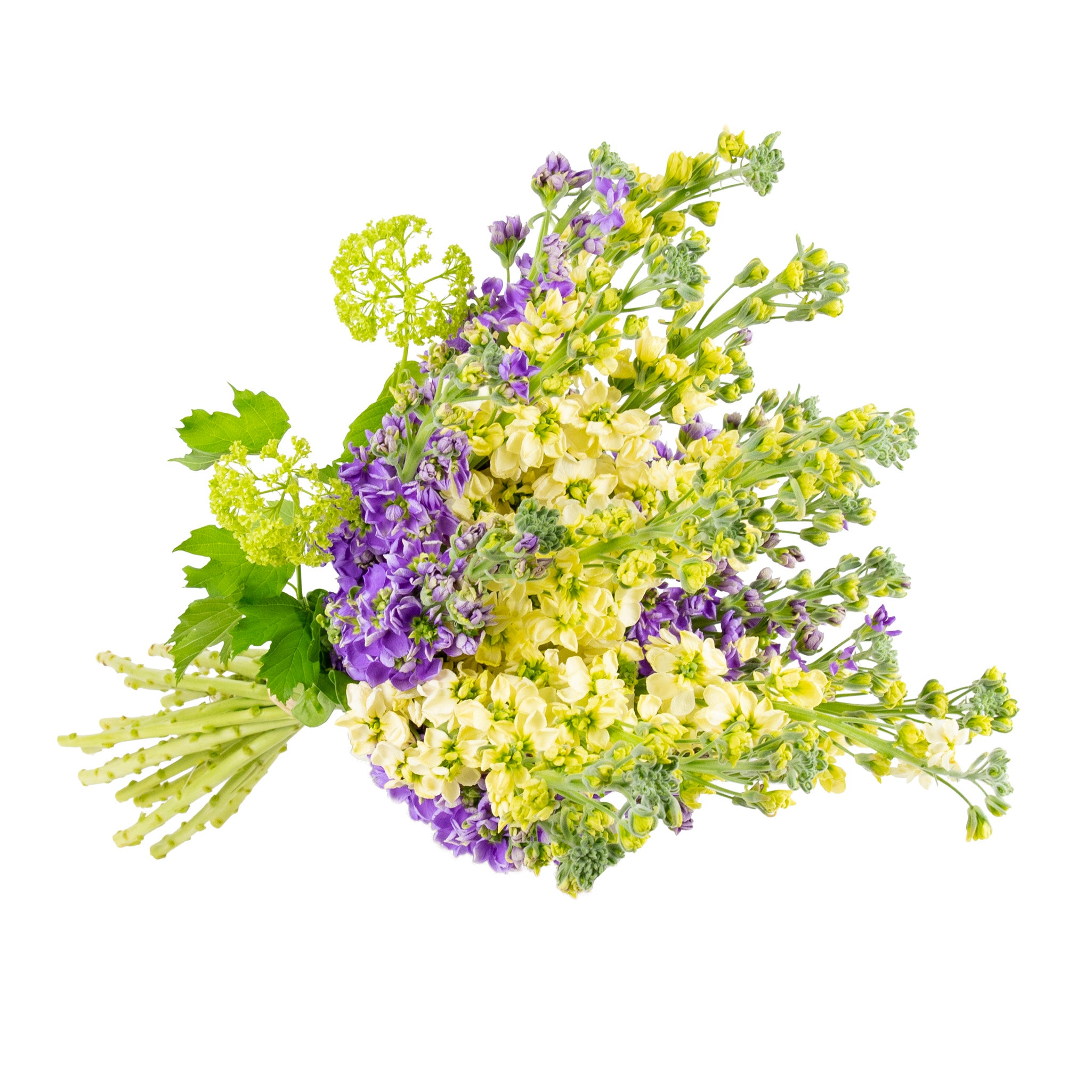 Stock Fresh Flowers - Bouquets & Vase Arrangements