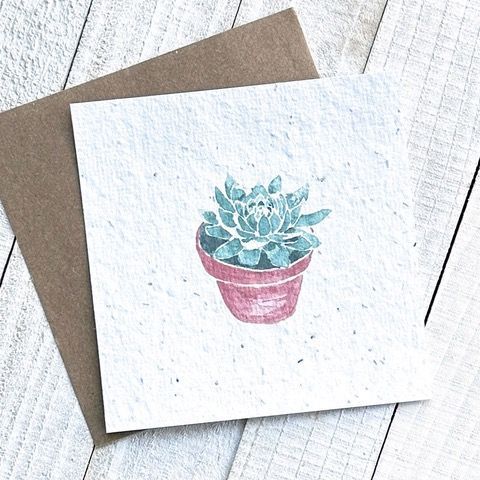 Succulent Plantable Greeting Card Toronto Ontario Delivery