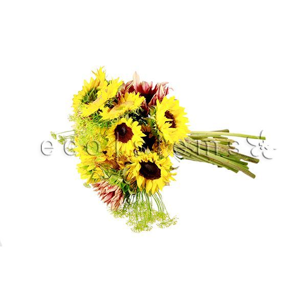 Sunflowers Fresh Flowers -Bouquets & Vase Arrangements