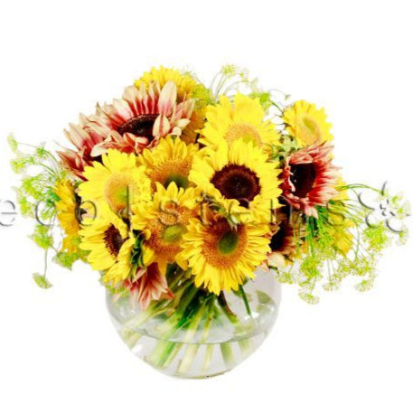 SunFresh Flowers Fresh Flowers Arrangement Toronto