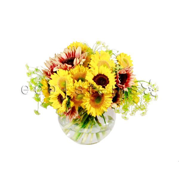 SunFresh Flowers Fresh Flowers Arrangement Toronto Ontario Delivery