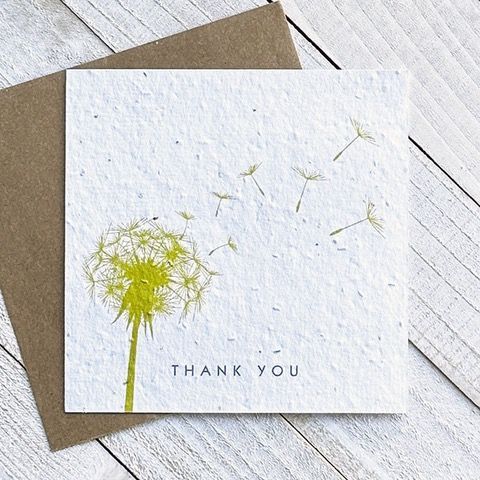 Thank You Green Dandelion Plantable Greeting Card Toronto Ontario Delivery