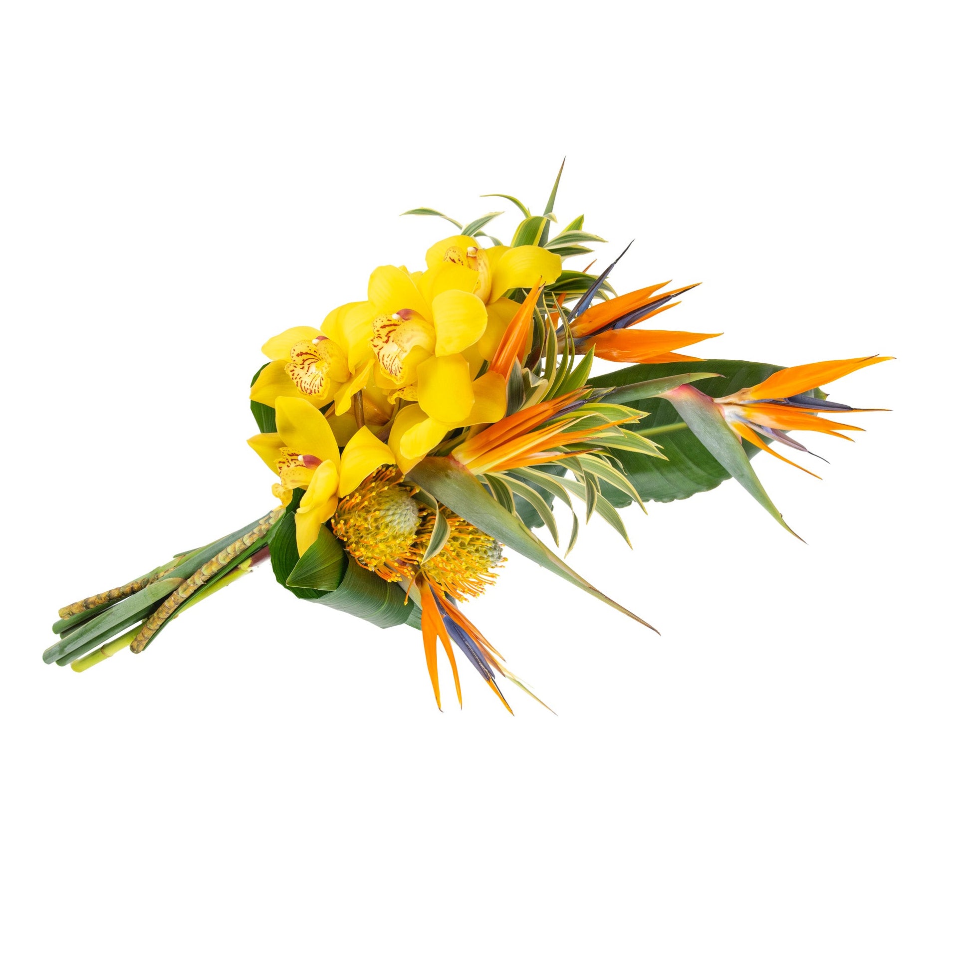 Tropical Fresh Flowers - Bouquets & Vase Arrangements
