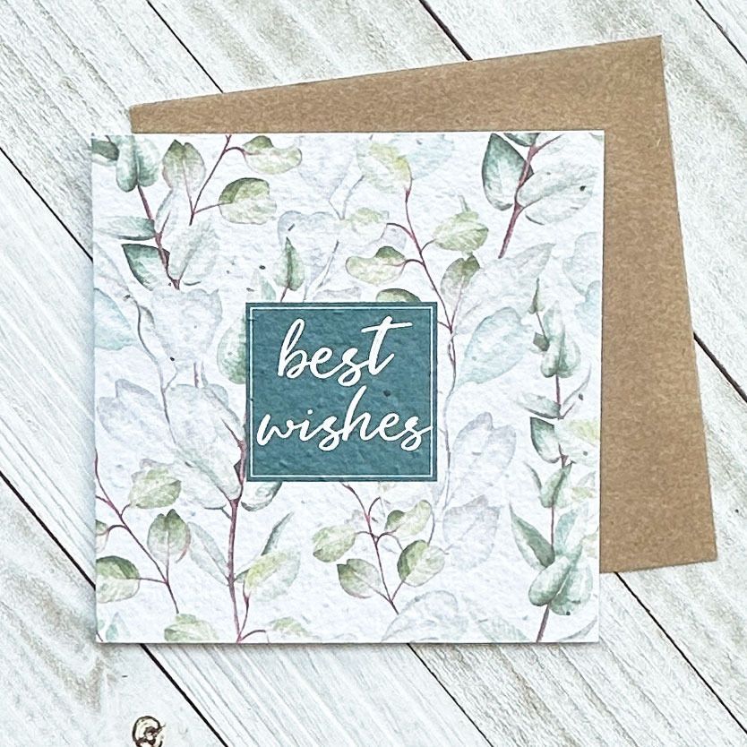 Best Wishes Greenery Plantable Greeting Card Toronto Ontario Delivery