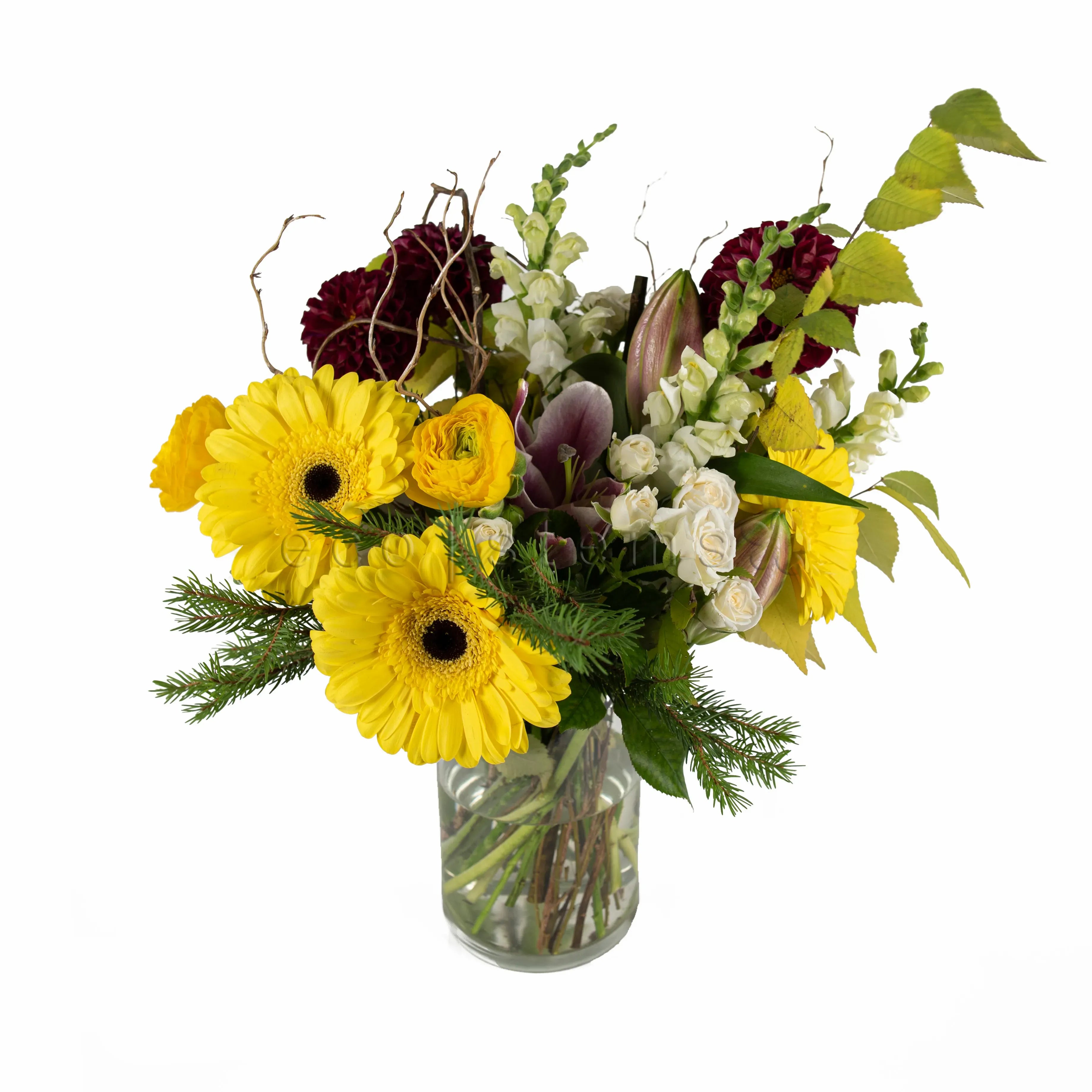 Locally Grown Seasonal Bouquets & Fresh Flowers Arrangements Toronto Ontario Delivery