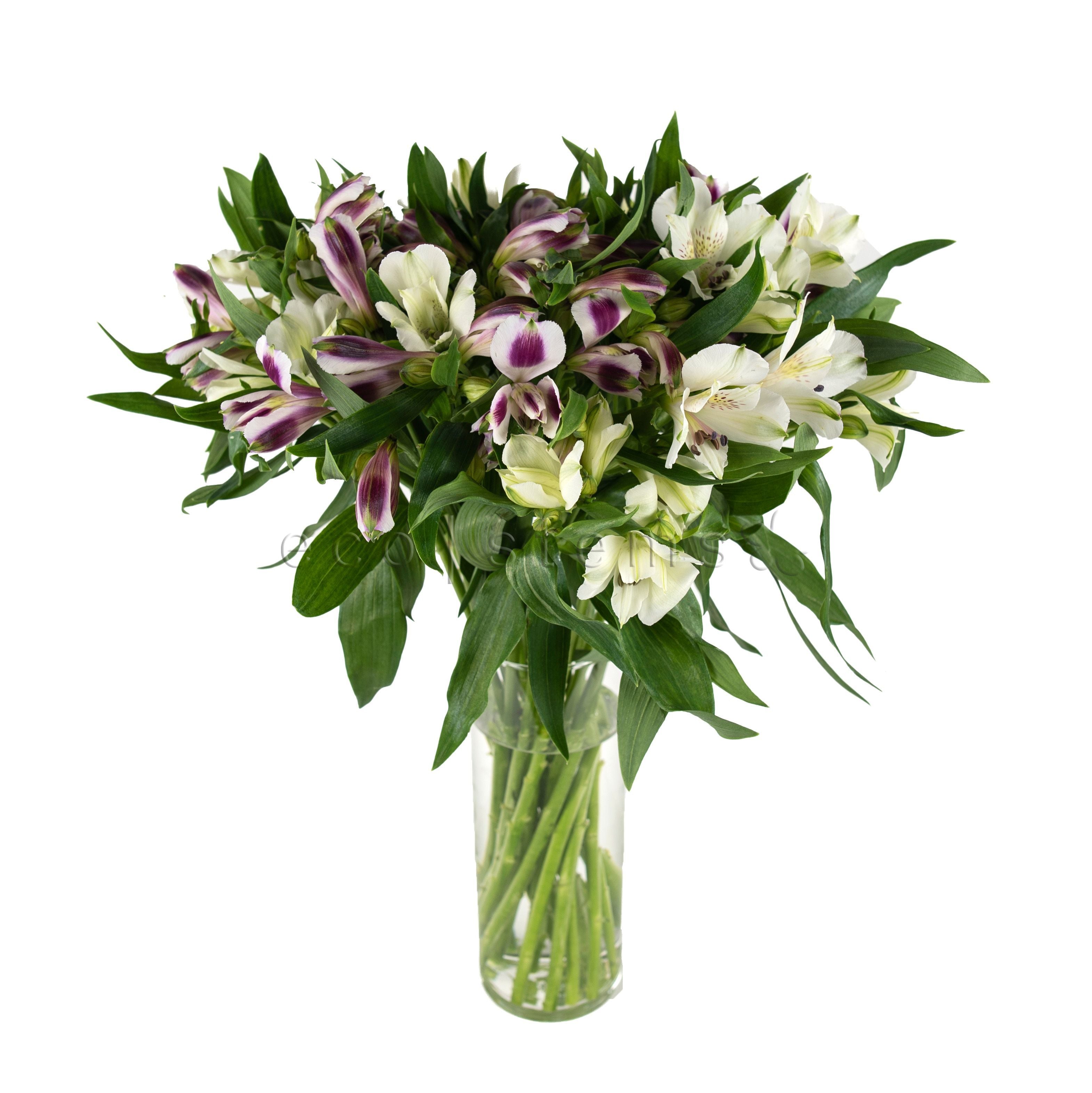 Alstroemeria Fresh Flowers Arrangement Toronto Ontario Delivery