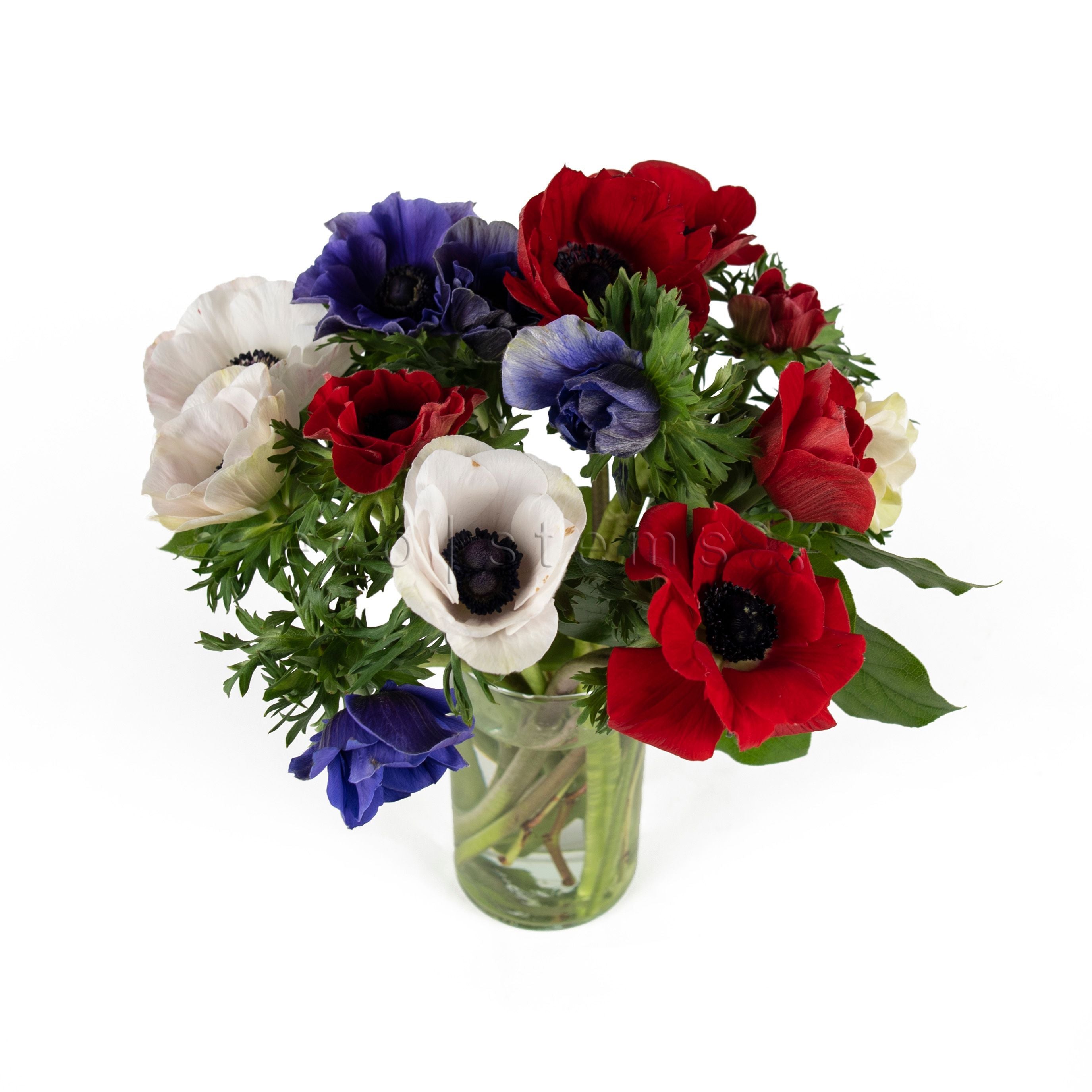 Anemones Fresh Flowers Arrangement Toronto Ontario Delivery