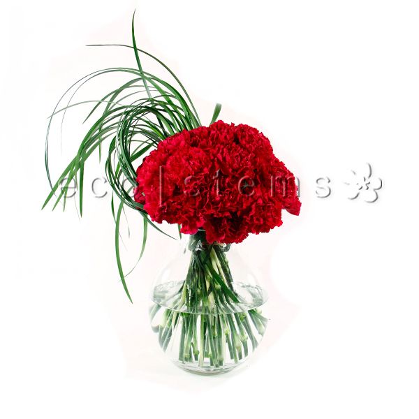 Dianthus Sphere Fresh Flowers Arrangement Toronto Ontario Delivery