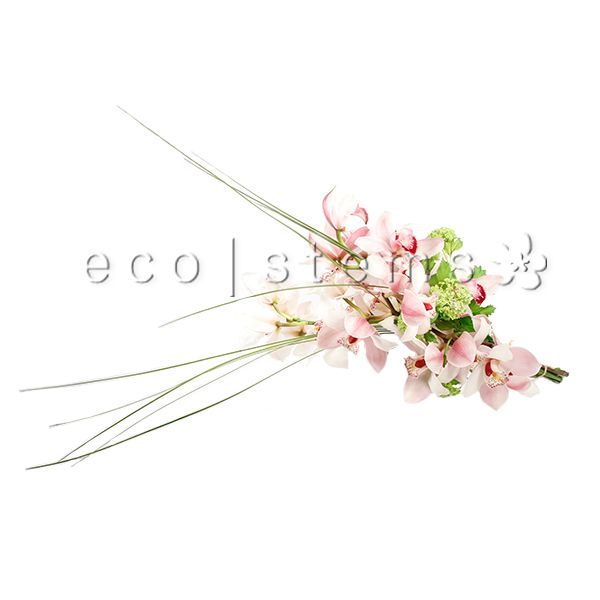 Cymbidium Orchid Fresh Flowers -Bouquets & Vase Arrangements