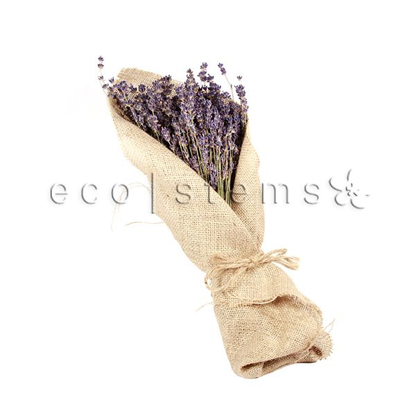 Dried Lavender Organic Fresh Flowers Bouquet Toronto Ontario Delivery