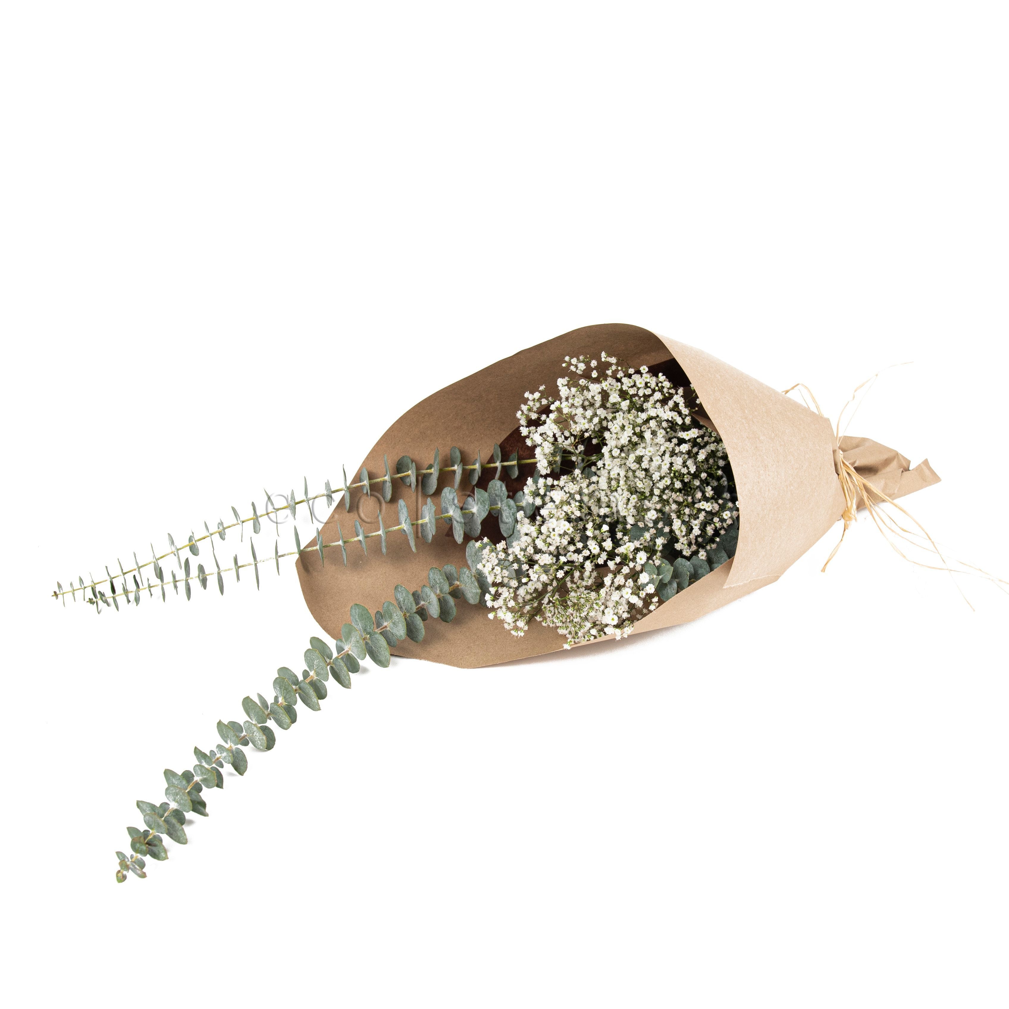 Eucalyptus and Baby's Breath Bunch Toronto Ontario Delivery