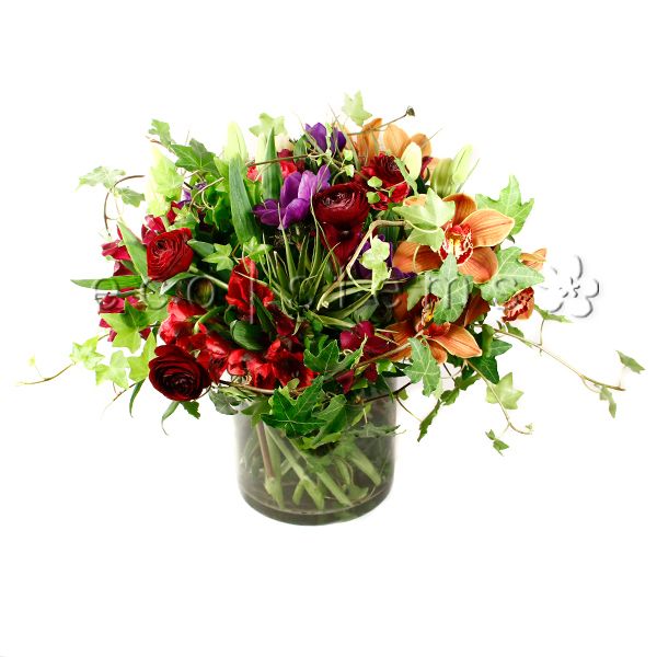 Mixed Fresh Flowers Arrangement with Air Plants Toronto Ontario Delivery